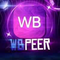 WB.PEER 🟣 находки WB