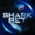 SHARK-BET | Прогнозы на спорт