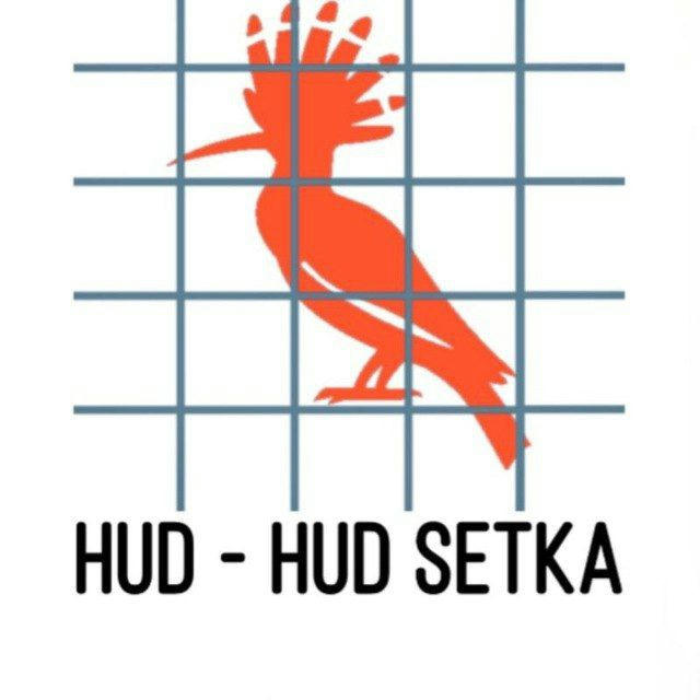 HUD_HUD_SETKA