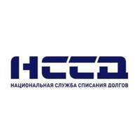 НССД. Списание долгов