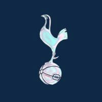 Tottenham Hotspur – New Lane