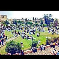 اخبار جامعة الموصل