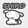 Shiro Inu Announcement