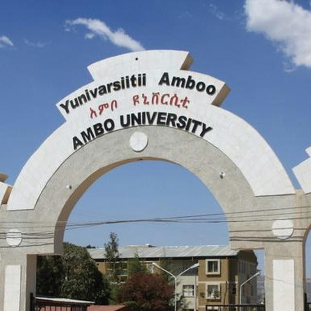 Ambo university news