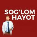 Saglom Hayot