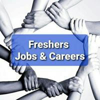 Freshers Jobs & Careers