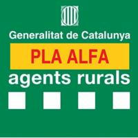 Pla Alfa