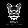 Pitbull Token Official Announcement Channel