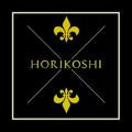 PT Horikoshi