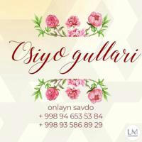 OSIYO GULLARI🔈🌺🌷🌻🌹