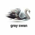 Gray swan
