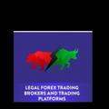 Forex Experts