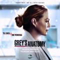 Grey's Anatomy temporadas completas en audio latino