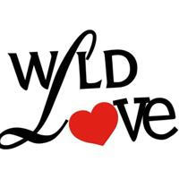 WILD LOVE - İMAJİNAL