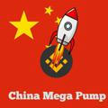 China Pump Signals
