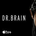 ⛄ Dr Brain 2021