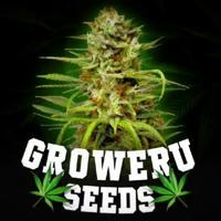 GROWERU Seeds