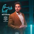 Majid serajiyan_music