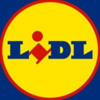 Lidl Italia volantino ( Parkside Silvercrest ...)