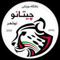 باشگاه فوتبال شهدای نوشهر (چیتانو)
