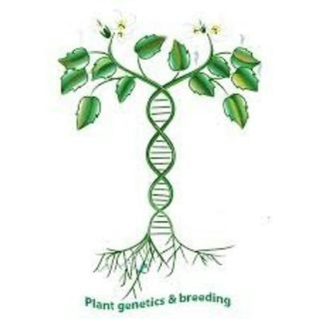 UoK Plant Production & Genetics