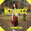 NET Free 2