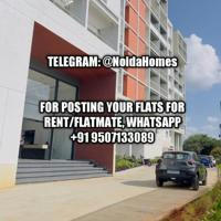 Flats and Flatmates in Noida