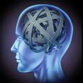 Neuropsicopedagogia Clinica e suas Sinapses