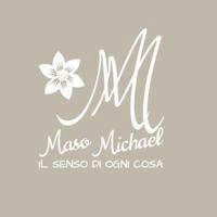 Maso Michael Impresa Sociale