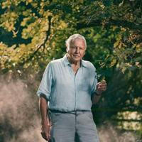 David Attenborough Documentaries