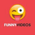 Funny Videos