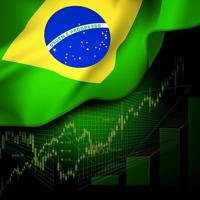 Investidores do Brasil - Bovespa🗞