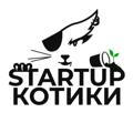 Startup Kotiki