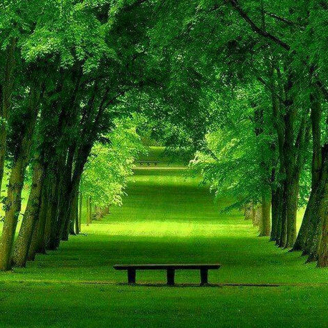 روانشناسی🍃موفقیت | انگیزشی