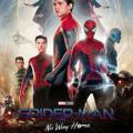 Spiderman - No Way Home Hindi Movie