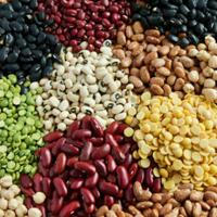 Ethiopian Oilseeds, Pulses, Grains Export