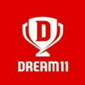 Dream 11 Pream group Wining 100%