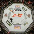 UFC 3™