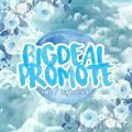 BIGDEAL PROMOTE/PINNED.