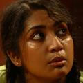 Mallu Actress trolls