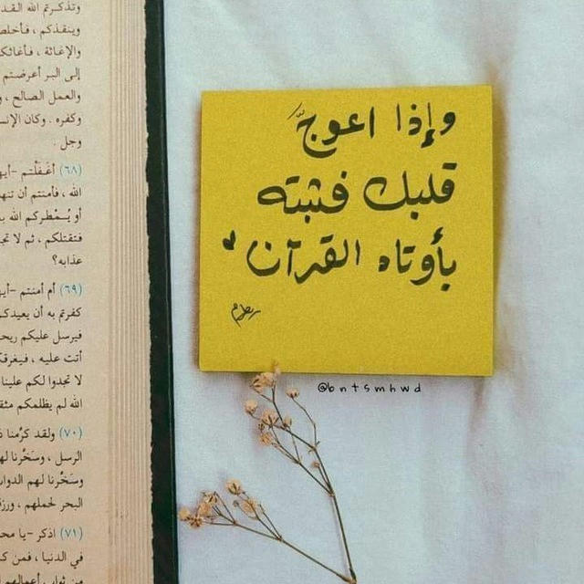 لَــطـائـِف.. 💛🌼.