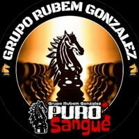 Jornal Puro Sangue - Grupo Rubem Gonzalez