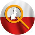 Qlobal-Change Polska