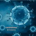 فيروس كورونا | COVID-19