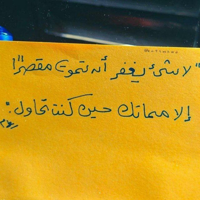 صفِيّة مُصطفى|شُكرًا وعفوًا🇵🇸