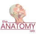 Acland Anatomy Videos