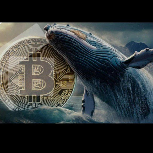 حرکت دلاری با نهنگ