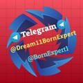 Dream11 born expert