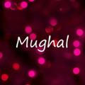 Mughal The Brand™