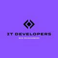 IT DEVELOPERS